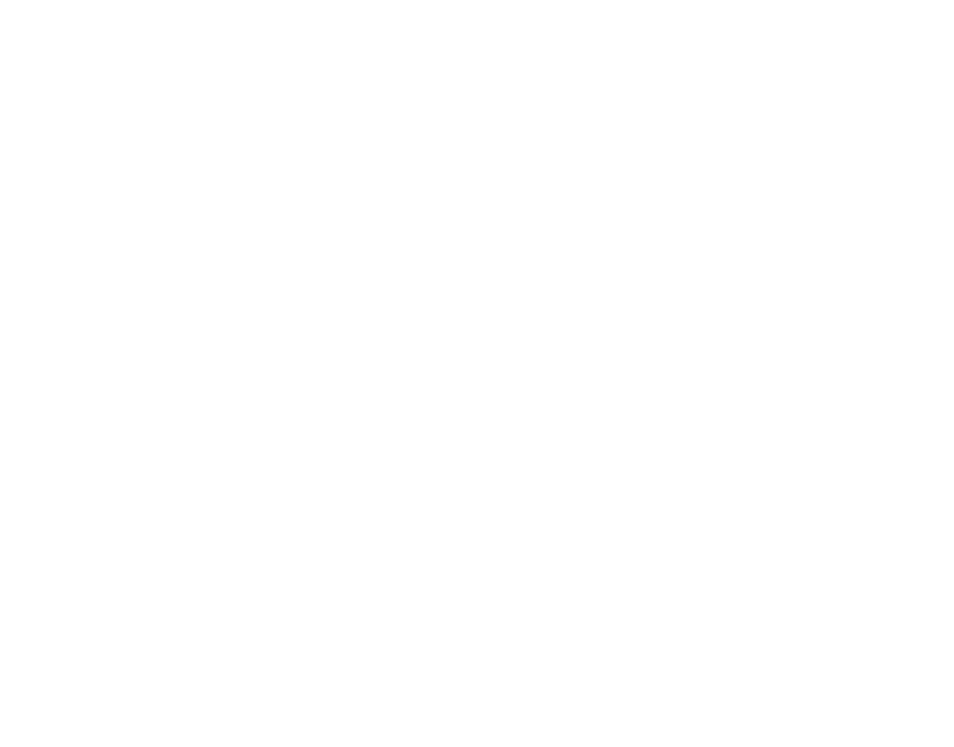 GASSI